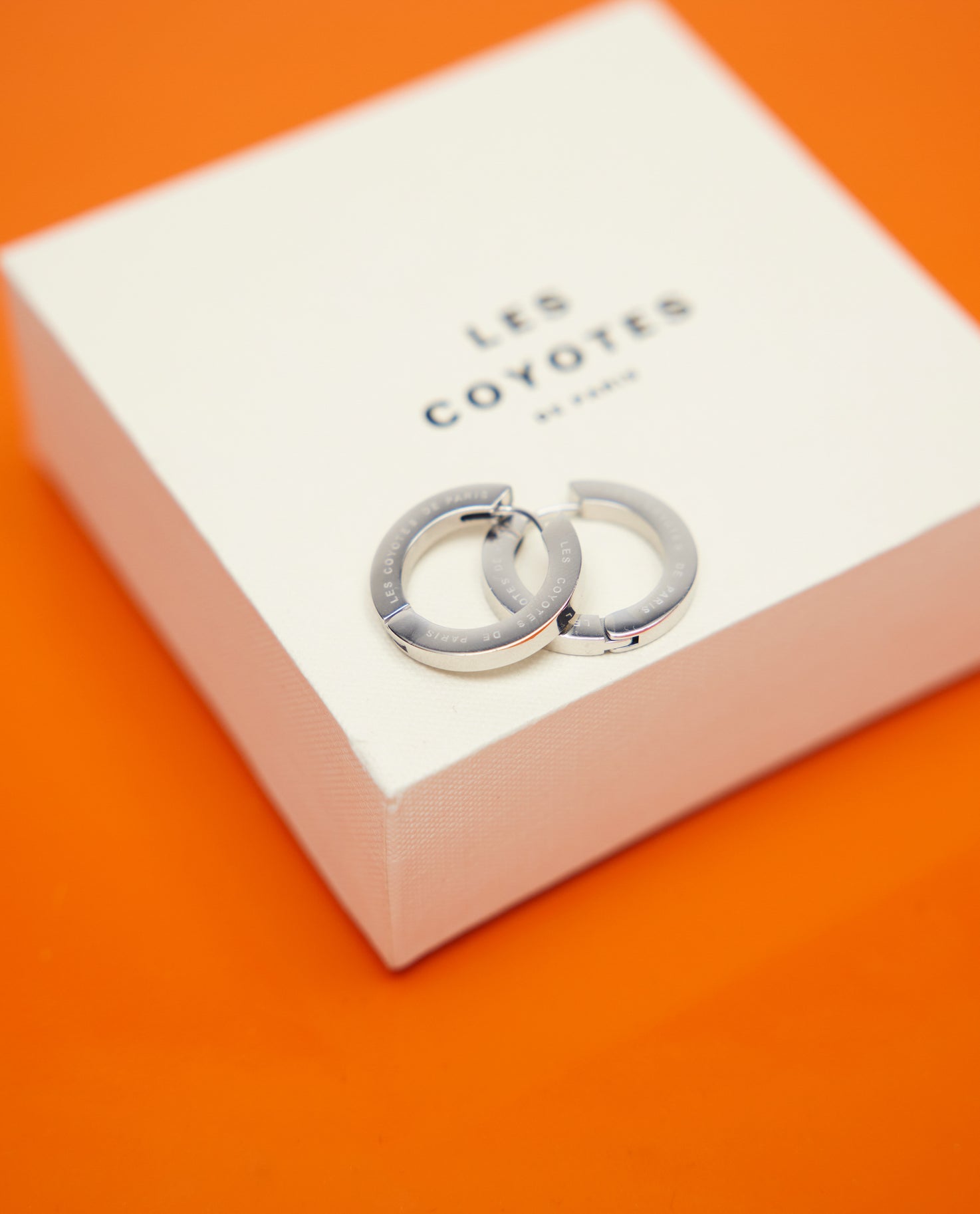 ARYA EARRINGS